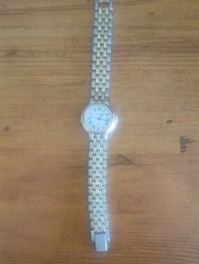 Two-Tone Stainless Steel Wristwatch with Roman Dial